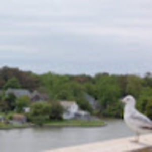 Meet your Posher, Sumanasri